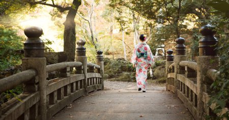 Téléchargez les photos : Pont, culture et femme japonaise dans le parc pour le bien-être, l'air frais et la marche dans la nature. Voyage, traditionnel et personne en vêtements indigènes, mode et kimono à l'extérieur pour zen, calme et paix. - en image libre de droit