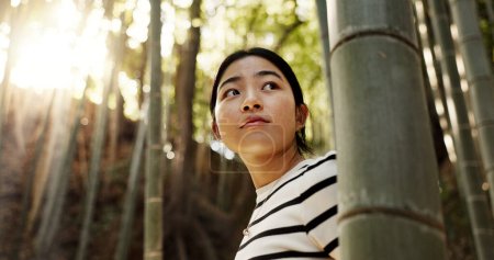 Téléchargez les photos : Nature, bambou et femme japonaise dans la forêt pour l'aventure en vacances, vacances et matin dans les bois. Voyage, angle bas et la pensée de la personne avec des plantes naturelles pour explorer, marcher et la liberté à Kyoto. - en image libre de droit