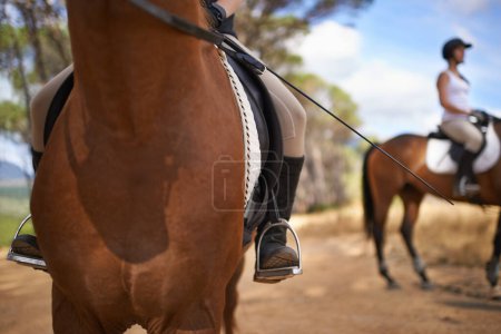 Téléchargez les photos : Personnes, chevaux et campagne pour l'équitation au texas, l'entraînement fort et sportif. Ferme, pieds et étrier en plein air, aventure et bétail avec jockey, soins aux animaux et chemin de terre. - en image libre de droit