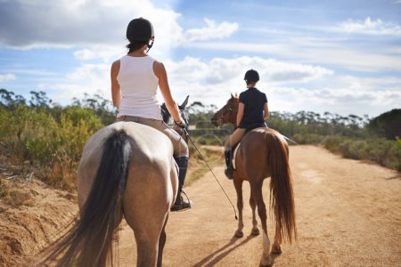 People, horse and countryside for horseback riding in texas, rider and sport training for performance. Farm, rural and nature in outdoor, adventure and animal in gravel, pet care and dirt road.