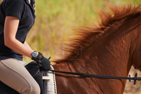 Jockey, horse and countryside for horseback riding in texas, rider and sport training for performance. Farm, rural and nature in outdoor, adventure and animal in outdoor, pet care and dirt road.