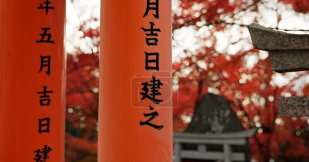 Foto de Arquitectura, puertas torii y pilares en el templo para la religión, viajes y punto de referencia tradicional para la espiritualidad. Budismo, cultura japonesa y viaje a Kioto, oración y Fushimi Inari Taisha Shrine. - Imagen libre de derechos