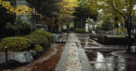 Foto de Japón cementerio, naturaleza y cultura por lápida en el entorno del paisaje, hojas de otoño y plantas. Mojado, cemetría y piedra para cementerio asiático en kyoto urbano y mojado con religión indígena sintoísta. - Imagen libre de derechos