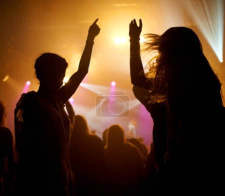 Téléchargez les photos : Crowd, danse et lumières concert ou silhouette pour la performance musicale en direct ou festival, rock ou amis. Auditoire, DJ et événement scénique pour fêter la rave ou le son du groupe comme fête, week-end ou nuit. - en image libre de droit