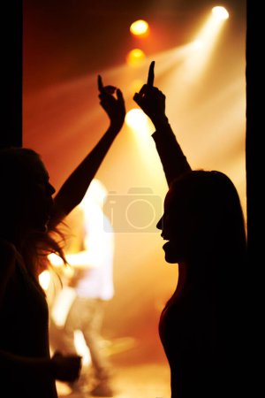 Photo for Fans, silhouette and dance to music backstage at event and lights on band for performance at festival. Nightclub, party and people in audience excited for musician and listening to sound with freedom. - Royalty Free Image