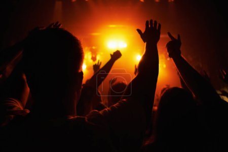 Photo for Club, concert and audience with hands or lights for music, party and rave festival with silhouette and dancing. Disco, psychedelic event or performance with entertainment, crowd and rear view gesture. - Royalty Free Image