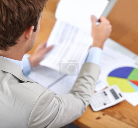 Photo for Business man, documents and spreadsheet for finance, accounting and budget report or revenue and profit analysis. Professional accountant with statistics, reading invoice and numbers for expenses. - Royalty Free Image
