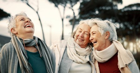 Foto de Comedia, risas y amigas mayores al aire libre en un parque juntas para vincularse durante la jubilación. Retrato, sonrisa y diversión con un grupo feliz de personas mayores que se unen en un jardín para el humor o la diversión. - Imagen libre de derechos