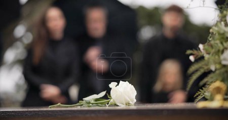 Téléchargez les photos : Rose, cercueil et funérailles au cimetière en plein air lors de la cérémonie d'enterrement de la famille ensemble sur la tombe. Décès, deuil et fleur sur le cercueil au cimetière pour les personnes pleurant des pertes de vie lors d'un événement d'adieu floral - en image libre de droit
