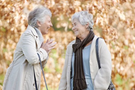 Photo for Senior women, laugh and conversation in park by autumn leaves, together and bonding on retirement in outdoor. Elderly friends, funny joke and comedy on vacation in england, care and social in nature. - Royalty Free Image