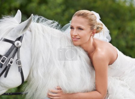 Téléchargez les photos : Mariage, femme et équitation avec cheval dans la nature et heureux pour la célébration, le mariage et la confiance dans la campagne. Mariée, personne et étalon sur la pelouse dans le champ avec sourire, robe et animal lors de la cérémonie. - en image libre de droit