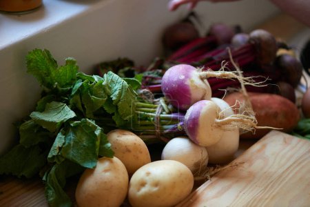 Photo for Root, vegetables and ingredients on kitchen counter for cooking recipe or leafy greens, radish or potato. Wood board, food and diet in apartment for healthy wellness or vegan eating, fibre or meal. - Royalty Free Image