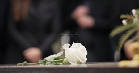 Téléchargez les photos : Funérailles, roses et fleurs sur le cercueil dans le cimetière pour la cérémonie d'enterrement en plein air pour la personne en deuil dans la mort, le deuil ou le souvenir. Cimetière, roses ou fleurs à respecter sur cercueil, tombe ou pierre tombale. - en image libre de droit