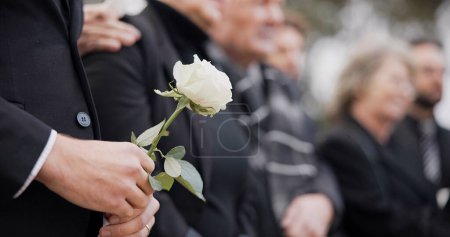 Foto de Manos, rosa y una persona en un funeral en un cementerio en duelo, mientras que la pérdida de luto en un servicio conmemorativo. Muerte, flor y un adulto en un traje en un cementerio en una multitud para un primer entierro al aire libre. - Imagen libre de derechos