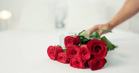 Téléchargez les photos : Roses rouges, table et main de personne avec cadeau de Saint Valentin et cadeau pour l'amour et l'engagement, Fleurs, bouquet et arrangement floral avec surprise sur un lit dans une maison pour un anniversaire. - en image libre de droit