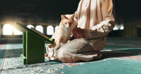 Muslim, person and cat in a mosque during praying, worship or comfort while reading on the floor. Holy, religion and an Islamic man with a pet or animal during spiritual study, learning or relax.