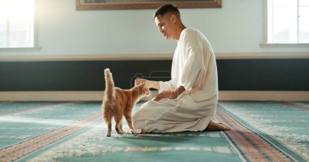 Gato, islámico y hombre con mascota en una mezquita para la oración, la paz y el cuidado espiritual en la religión santa para Allah. Respeto, gratitud y persona musulmana con amabilidad por animal o gatito después de la adoración.