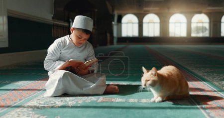 Corán, islámico y niño en una mezquita para la oración, la paz y el cuidado espiritual en la religión santa para Allah. Libro de lectura, Ramadán o niño musulmán con un animal gato, esperanza o gratitud para estudiar o adorar a Dios.