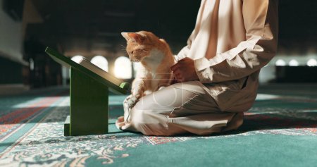 Muslim, Person und Katze in einer Moschee während des Gebets, des Gottesdienstes oder beim Lesen auf dem Fußboden. Heilig, Religion und ein islamischer Mann mit einem Haustier oder Tier während des spirituellen Studiums, Lernens oder Entspannens.