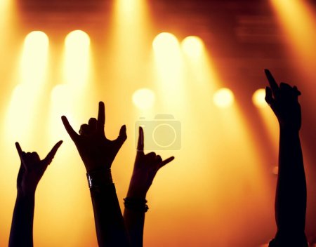 Téléchargez les photos : Rock, concert et silhouette des mains avec les fans dans la célébration de la musique, festival et événement la nuit avec énergie. Personnes, fête et emoji signe pour le métal ou le soutien à rave avec la lumière de la scène. - en image libre de droit