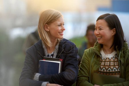 Photo for Education, books and talking with woman friends outdoor on campus together for learning or development. Diversity, college or university with young student and best friend chatting at recess break. - Royalty Free Image