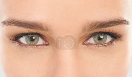 Foto de Ojos, cejas y pestañas para la visión en primer plano de la mujer para el cuidado de los ojos, microestocástico y lentes de contacto. Iris, globo ocular y retina de la persona femenina para una visión saludable, tratamiento óptico y observación. - Imagen libre de derechos