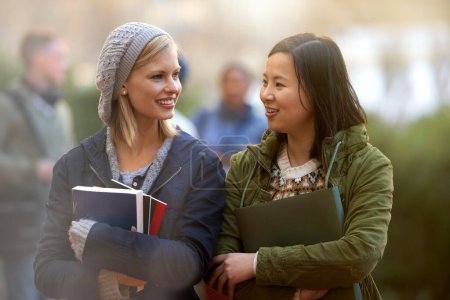 Photo for School, books and conversation with woman friends outdoor on campus together for learning or development. College, education or university with young student and best friend talking at recess break. - Royalty Free Image