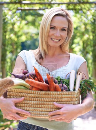 Photo for Woman, portrait and basket of vegetables or farming harvest for small business, production or sustainability. Female person, face and carrots or beetroot with leafy greens for career, organic or diet. - Royalty Free Image