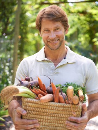 Photo for Man, portrait and basket for vegetables harvest for small business or agriculture, production or sustainability. Male person, face and carrots or beetroot forr eco farming career, gardening or diet. - Royalty Free Image