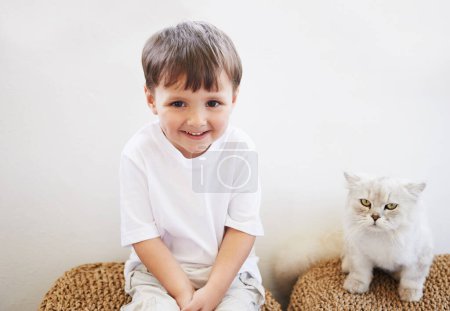 Child, boy and portrait with cat for pet, best friend and bonding with happiness in living room of home. Toddler, kid and face with animal, kitten and friendship in lounge of house or apartment.