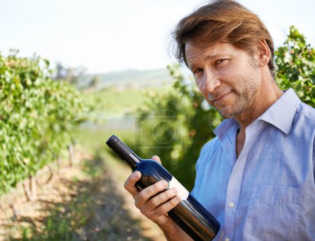 Photo for Man, portrait and vineyard with bottle of wine for quality control, agriculture and sustainable winery. Vintage, red drink and nature in France, grape fields and small business for organic alcohol. - Royalty Free Image