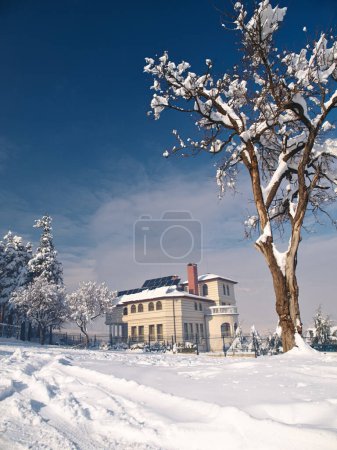 Photo for House, snow and forest environment for winter nature in Canada for travel vacation, exploring or freezing. Home, outside and woods for cold weather with ice trees for climate, Christmas or holiday. - Royalty Free Image