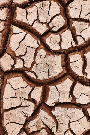 Photo for Environment, dry and ground with cracks, nature and landscape with erosion, dust and soil. Empty, barren and drought with extreme weather and climate change with ecology and water shortage from above. - Royalty Free Image