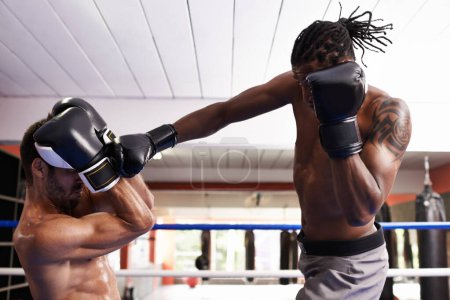 Téléchargez les photos : Hommes, kickboxing et punch pour le combat dans l'anneau, fitness et seins nus pour l'exercice et l'entraînement. Les gens, les culturistes et la performance pour le défi ou la pratique, l'entraînement et le combat pour la compétition dans le sport. - en image libre de droit
