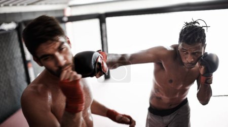Photo for Punch, pain and men sparring for kickboxing competition, challenge and fitness with fight sports in gym. Boxing match, strong fighter and knockout with exercise, practice and power in battle together. - Royalty Free Image