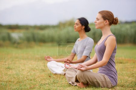 Foto de Loto, amigos y meditación al aire libre para yoga, cuerpo sano y ejercicio de mindfulness para fitness. Paz, zen y calma de las mujeres en padmasana en la naturaleza para el equilibrio, la espiritualidad y la práctica para el bienestar. - Imagen libre de derechos