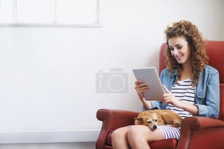 Téléchargez les photos : Femme heureuse, tablette et se détendre avec le chien sur le canapé et la lecture ebook le week-end pour parcourir les médias sociaux. Jeune femme, défilement et écran tactile pour la vidéo en ligne avec animal de compagnie et soins pour chihuahua dans le salon. - en image libre de droit