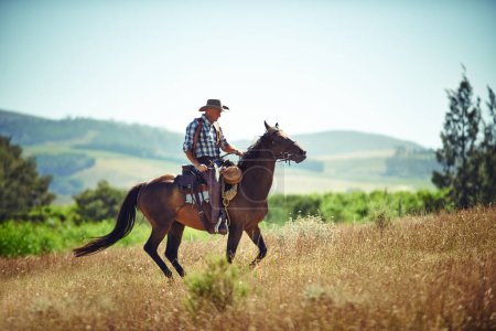 Téléchargez les photos : Cowboy, western et homme à cheval avec selle sur le terrain à la campagne pour l'équitation ou l'entraînement. Nature, été et rodéo avec cavalier mature sur animal au ranch en plein air dans les zones rurales du Texas. - en image libre de droit