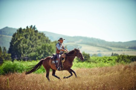 Foto de Vaquero, rápido y hombre a caballo con silla de montar en el campo en el campo para la equitación o el entrenamiento. Naturaleza, verano y velocidad con jinete maduro en cielo azul en rancho al aire libre en Texas rural. - Imagen libre de derechos
