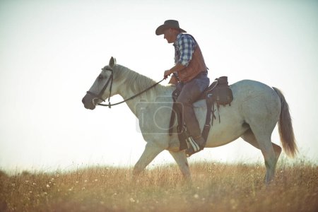 Téléchargez les photos : Homme, équitation et campagne comme cow-boy pour l'aventure dans la prairie du Texas pour explorer la terre, l'exercice ou l'entraînement. Homme, animal et étalon en milieu rural en selle, ranch ou passe-temps. - en image libre de droit