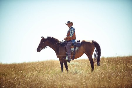 Foto de Hombre, caballo y campo como vaquero para montar aventura en el prado de Texas para explorar la granja, el ejercicio o el entrenamiento. Hombre, animal y semental en medio rural en silla de montar, rancho o pasatiempo. - Imagen libre de derechos
