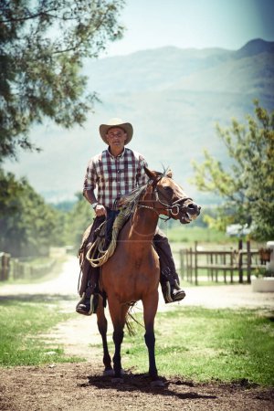 Photo for Portrait, cowboy and horse riding with mature man on saddle on field in countryside for equestrian or training. Nature, summer and hobby with horseback rider on animal at ranch outdoor in rural Texas. - Royalty Free Image