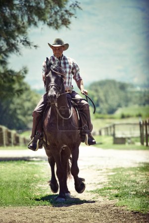 Téléchargez les photos : Cowboy, été et homme à cheval avec selle sur le terrain à la campagne pour l'entraînement équestre. Nature, ouest et rodéo avec cavalier mature sur animal au ranch en plein air dans les zones rurales du Texas. - en image libre de droit