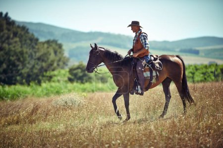 Téléchargez les photos : Prairie, ouest et cow-boy à cheval avec chapeau sur le terrain à la campagne pour l'équitation ou l'entraînement. Nature, été et rodéo avec un homme mature à cheval selle au ranch en plein air dans les zones rurales du Texas. - en image libre de droit