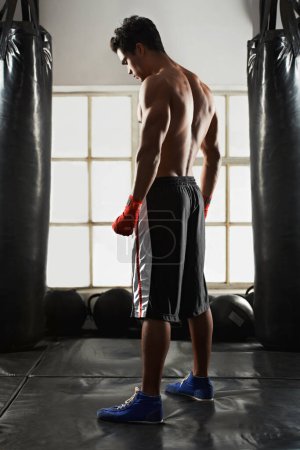 Photo for Fitness, man and gloves in gym with punching bag for exercise, sports and training for competition. Male person, back view and boxing with Muay Thai for fighting, performance and skill at club studio. - Royalty Free Image