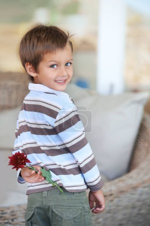Téléchargez les photos : Fleur, cadeau et portrait d'un enfant avec un cadeau et donnant pour la fête des mères avec un sourire dans une maison. Joyeux, célébration et jeune garçon avec une surprise pour les vacances dans le salon avec plante dans le salon. - en image libre de droit