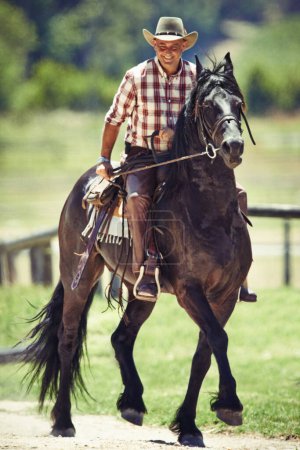 Téléchargez les photos : Cowboy, sourire et homme à cheval avec selle sur le terrain à la campagne pour l'équitation ou l'entraînement. Agriculture, été et cavalier mature heureux sur l'animal au ranch en plein air dans les zones rurales du Texas. - en image libre de droit