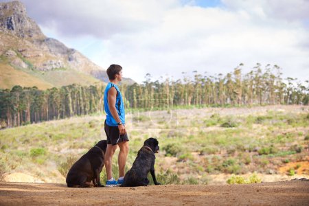 Photo for Nature, mountain and man with dogs for fitness, exercise and morning run on path in Portugal. Trees, athlete and pets in forest for companion with workout, hiking or training for healthy body. - Royalty Free Image
