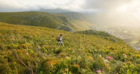 Photo for Woman hiking, walking and travel on mountains for adventure, wellness and health in nature, flowers and plants. Sports person with backpack for trekking on a path, green hill and eco friendly journey. - Royalty Free Image