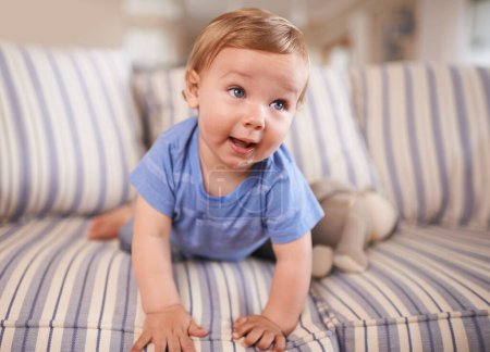 Photo for Playful, crawl or baby on couch in home for playing, growth or fun learning alone in living room. Wellness, cute boy or face of a curious male kid on sofa for child development or crawling in a house. - Royalty Free Image